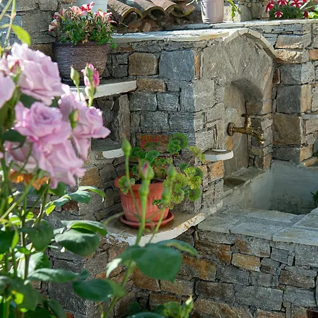 Walnut 1 Deredzhik-Koy