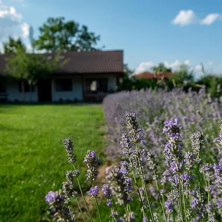 Villa Walnut 1 Deredzhik-Koy