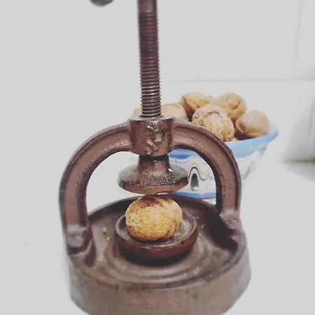 Willa Walnut 1 Deredzhik-Koy