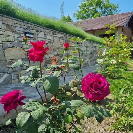 Walnut 1 Villa Deredzhik-Koy