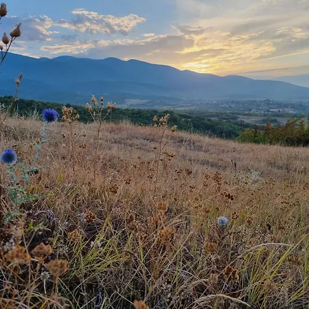 Walnut 1 Deredzhik-Koy