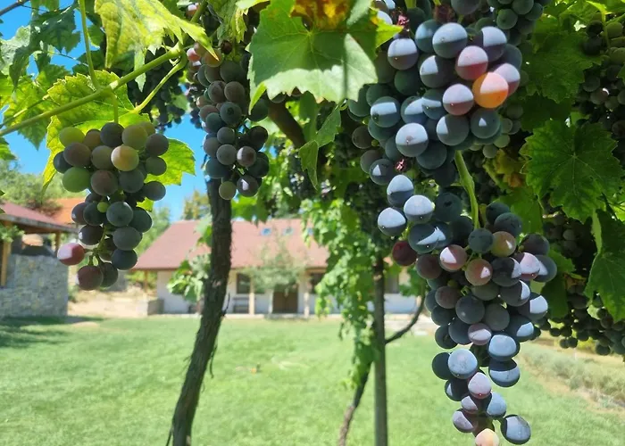 Walnut 1 Луксозна вила *