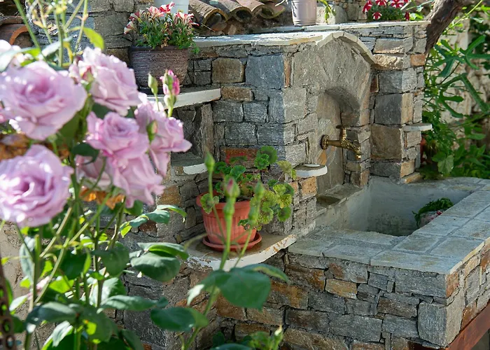 Walnut 1 Дебращица