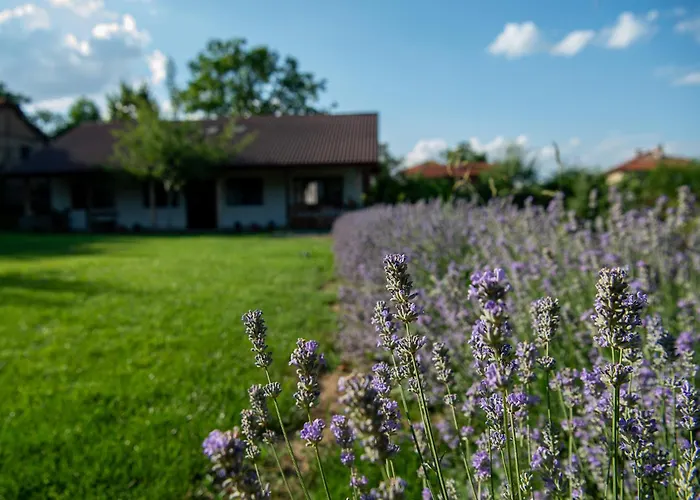 Луксозна вила Walnut 1 Дебращица