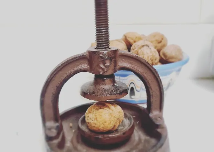 Луксозна вила Walnut 1 Дебращица