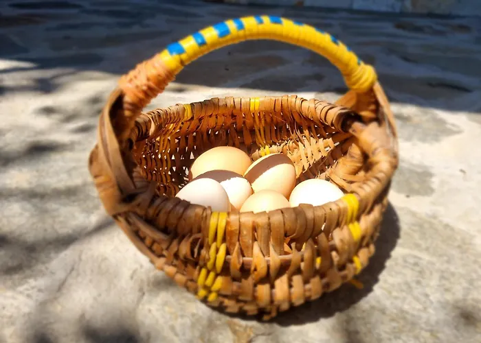 Луксозна вила Walnut 1 *