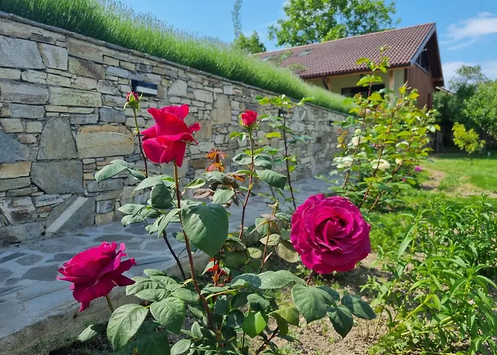 Walnut 1 Луксозна вила Дебращица