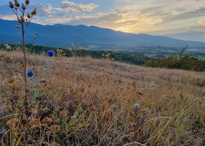 Walnut 1 Дебращица